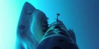 Los tiburones atacan líneas transoceánicas de Internet