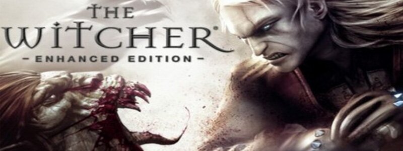 the witcher banner
