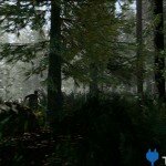 the-forest-screenshot-TheForest_Day