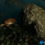 the-forest-screenshot-Turtle